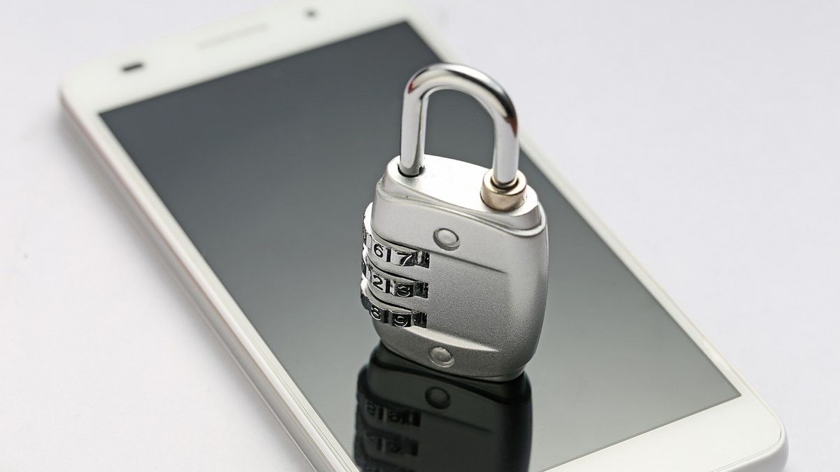 Online user holding smartphone inspecting secure padlock and verified domain symbols on screen